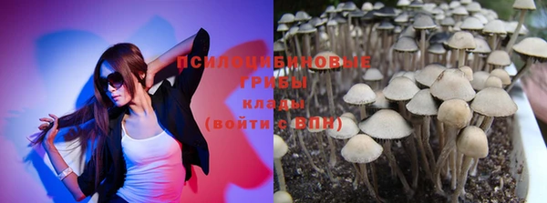 гидропоника Балабаново
