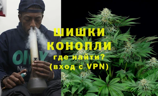 гидра Белокуриха