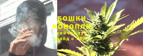 гидра Белокуриха